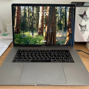 맥북프로 2018 15인치 터치바 i7 6코어 16GB 256GB 스페이스그레이