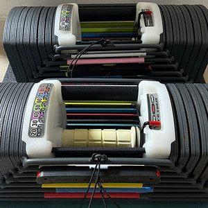 무게 조절 덤벨 [짭워블록] 41kg 2개 (총 82kg) 15만원