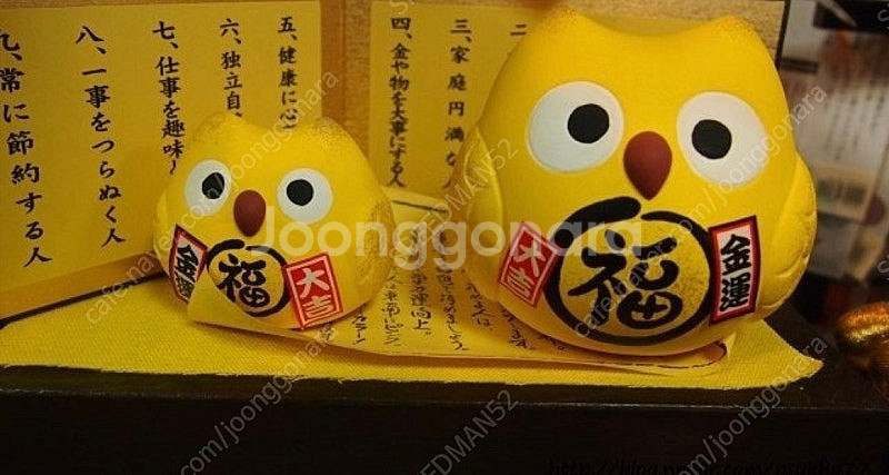 일본 복 고양이--2