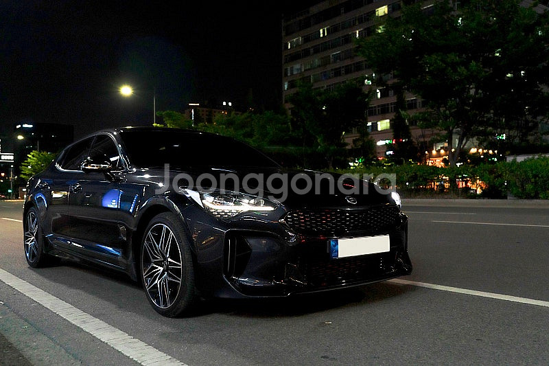 1인신조) 스팅어 마이스터 3.3 RWD--0