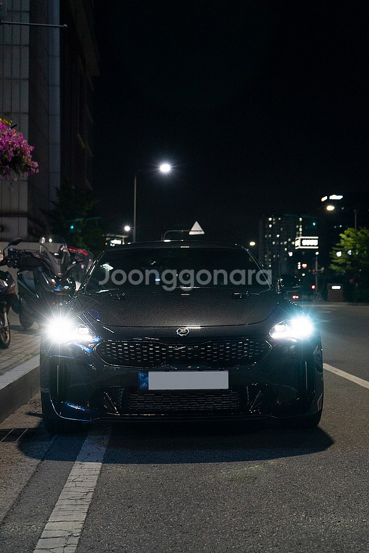 1인신조) 스팅어 마이스터 3.3 RWD--2