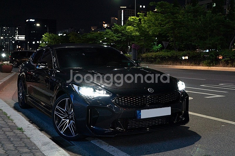 1인신조) 스팅어 마이스터 3.3 RWD--3