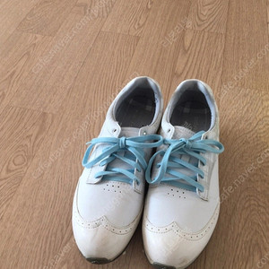 아디다스 여성 골프화 240