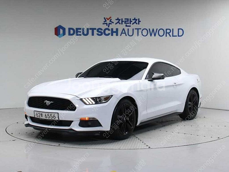중고차 포드 머스탱 6세대 쿠페 중고 흰색 2015년식...--2