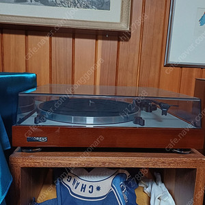 토렌스 TD402DD 판매