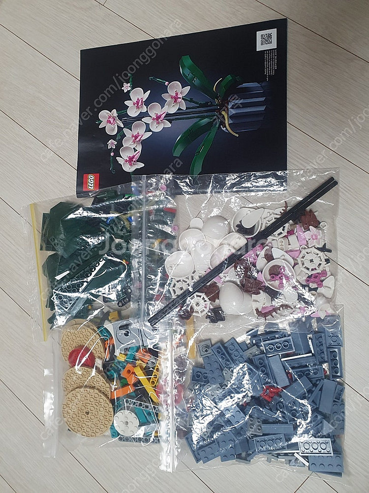 레고 10311 보태니컬 난초 중고--0