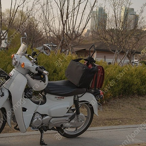 23년 슈퍼커브110 화이트