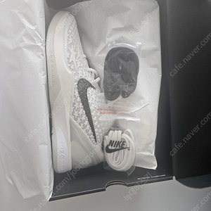 코비 6 세일 KOBE 6 PROTRO SAIL
