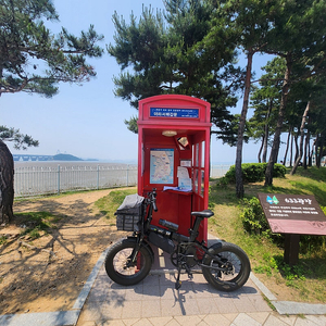 퀄리 큐맥스 팻타이어 자전거