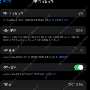 아이패드 프로 11 m4 1테라 셀룰러 팝니다