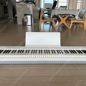 롤랜드 fp30x