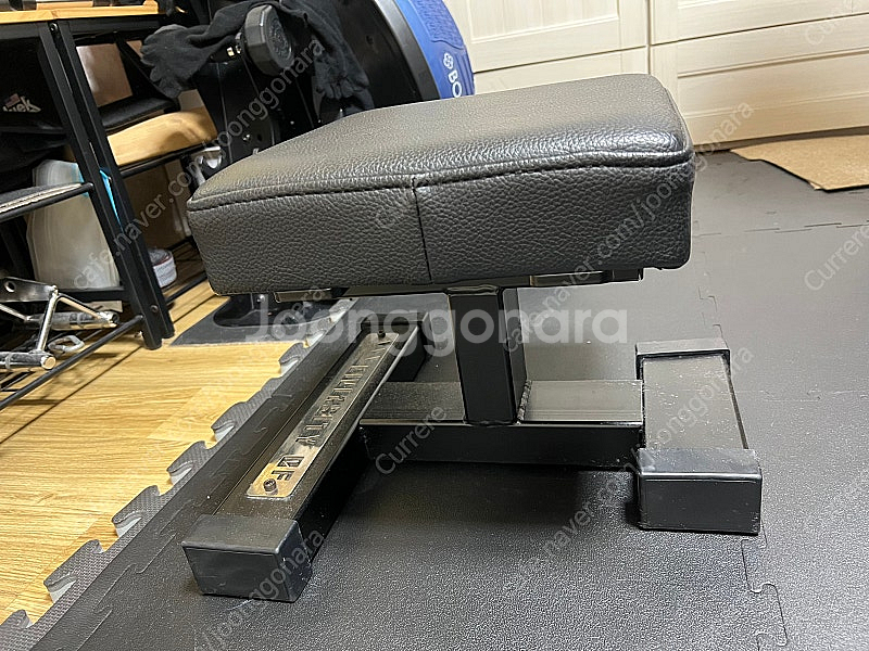 디오브 보조벤치,스쿼트벤치--0