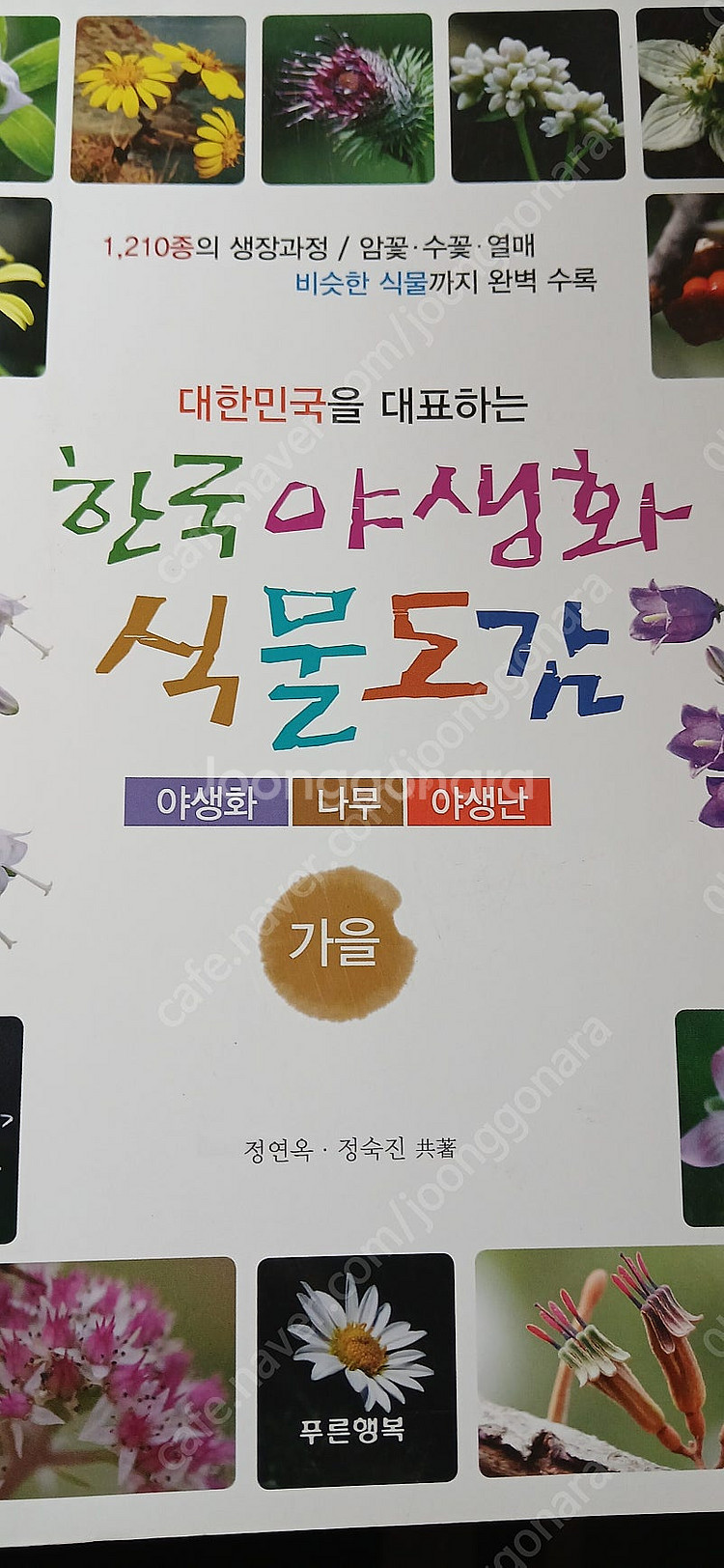 한국야생화식물도감(가을)--0