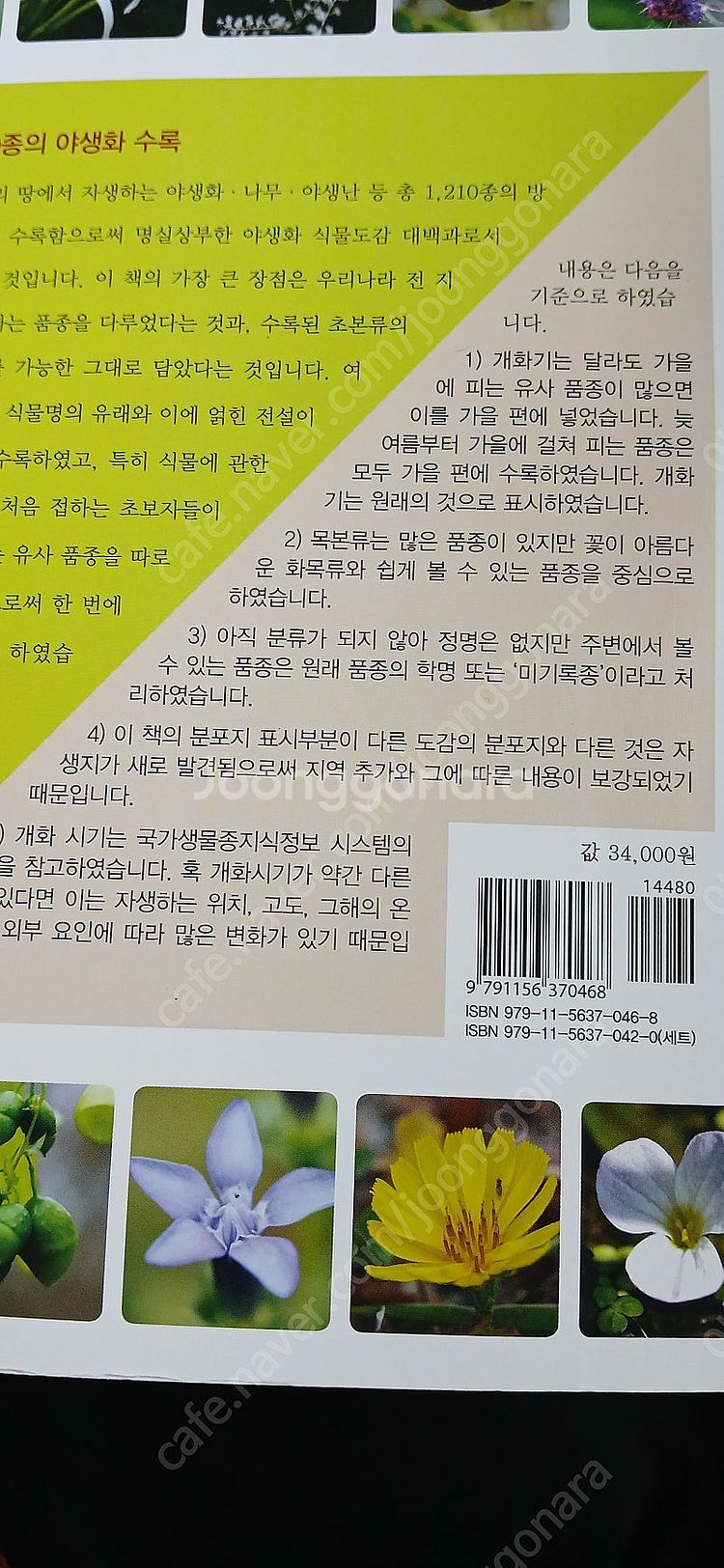 한국야생화식물도감(가을)--1