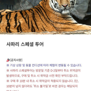 에버랜드 사파리 스페셜투어 6/14