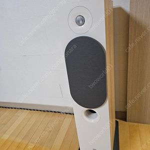 톨보이 스피커 포칼 코라 816