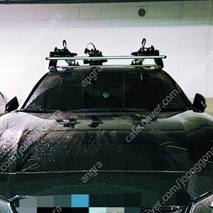 툴레 자전거 캐리어 3대 SUV 승용 모두 설치가능