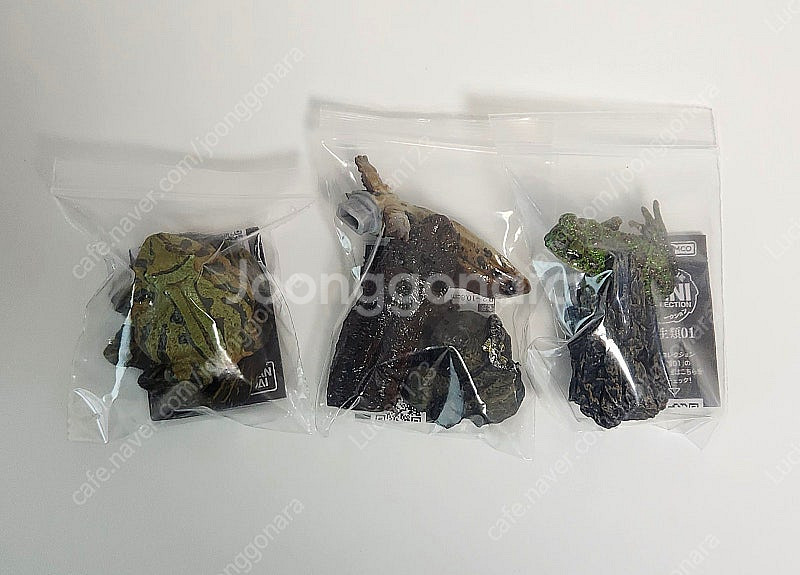 반다이 생물대도감 카이요도 보틀캡 쿠오리오등 생물 피규...--4