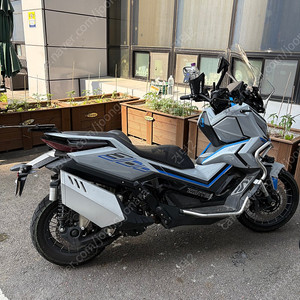 존테스 368g 그레이 양도권