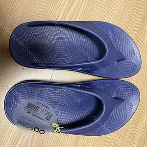 우포스 오리지날 클래식 쪼리