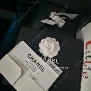 샤넬 지퍼돌이 카드지갑 캐비어 금장 미개봉 새상품