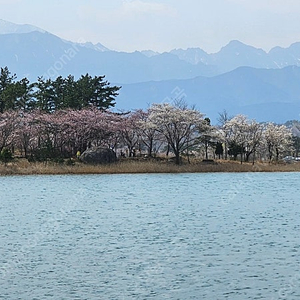 6월6일7일 부산 엘시티. 비체팰리스. 영랑호리조트. 평창휘닉스파크.덕구온천 양도합니다