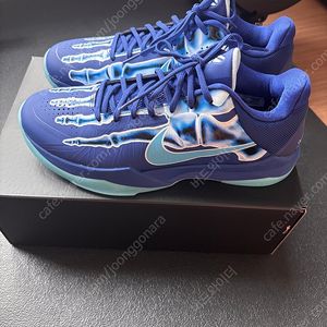 코비5 엑스레이 275