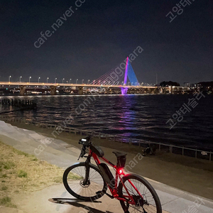 트위터 E5 mtb 전기자전거 팝니다.