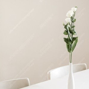 빽다방 핫 아메리카노 기프티콘 900원 판매 (금액권 가능)