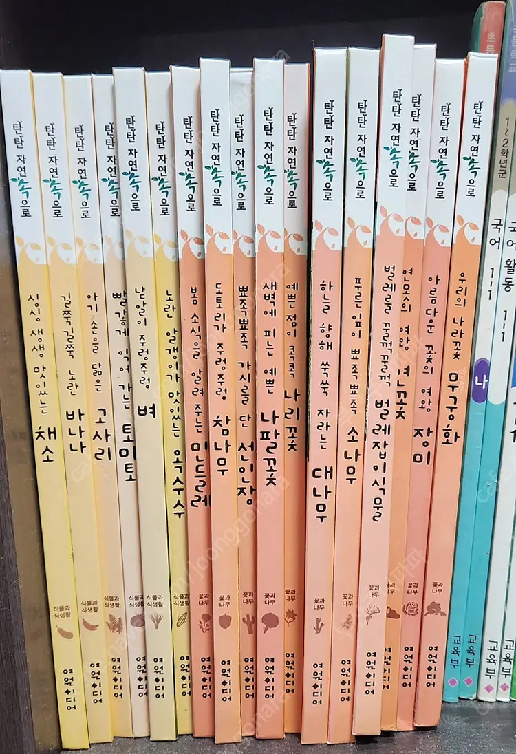 탄탄자연속으로 여원미디어 이미지