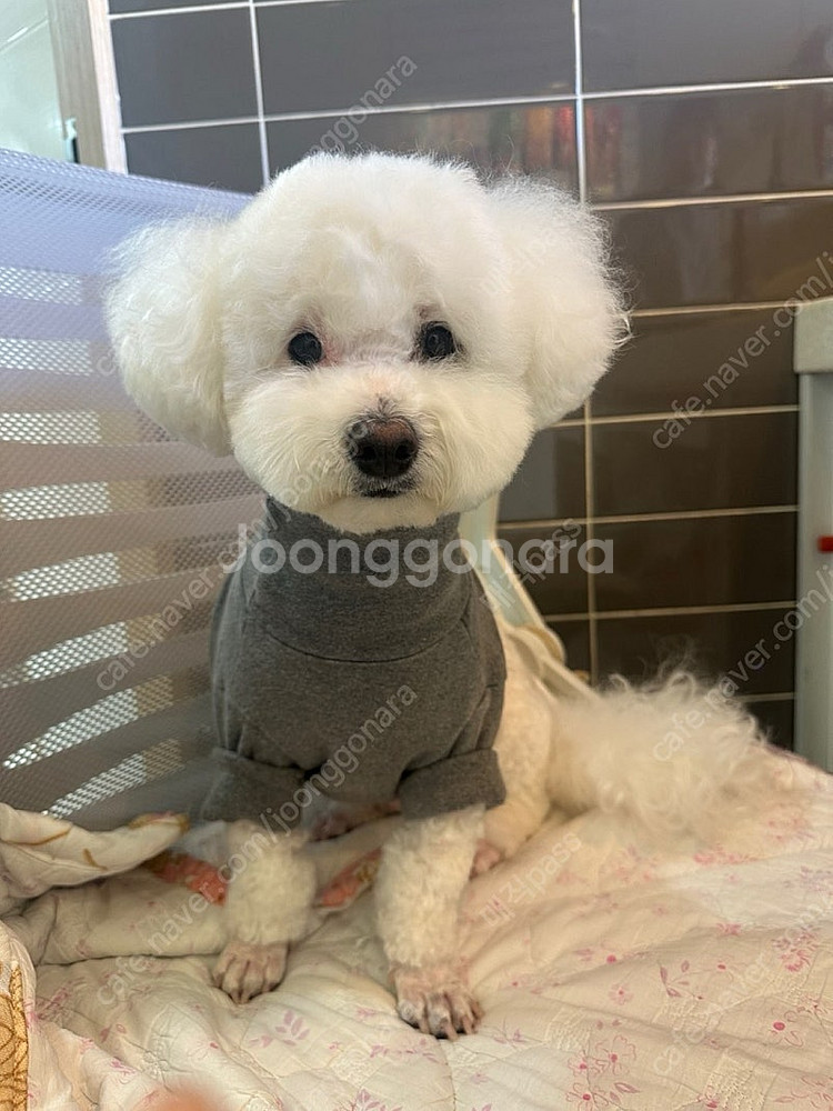 서울랜드 종일권(주말가능)--0