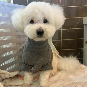 서울랜드 종일권(주말가능)