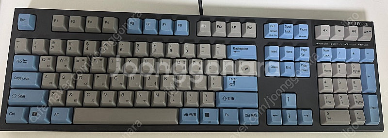 리얼포스 R2 풀배열 30g 그레이블루--0