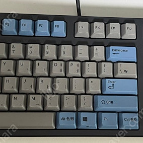리얼포스 R2 풀배열 30g 그레이블루