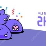 라프텔 프리미엄 파티원 두분구합니다.