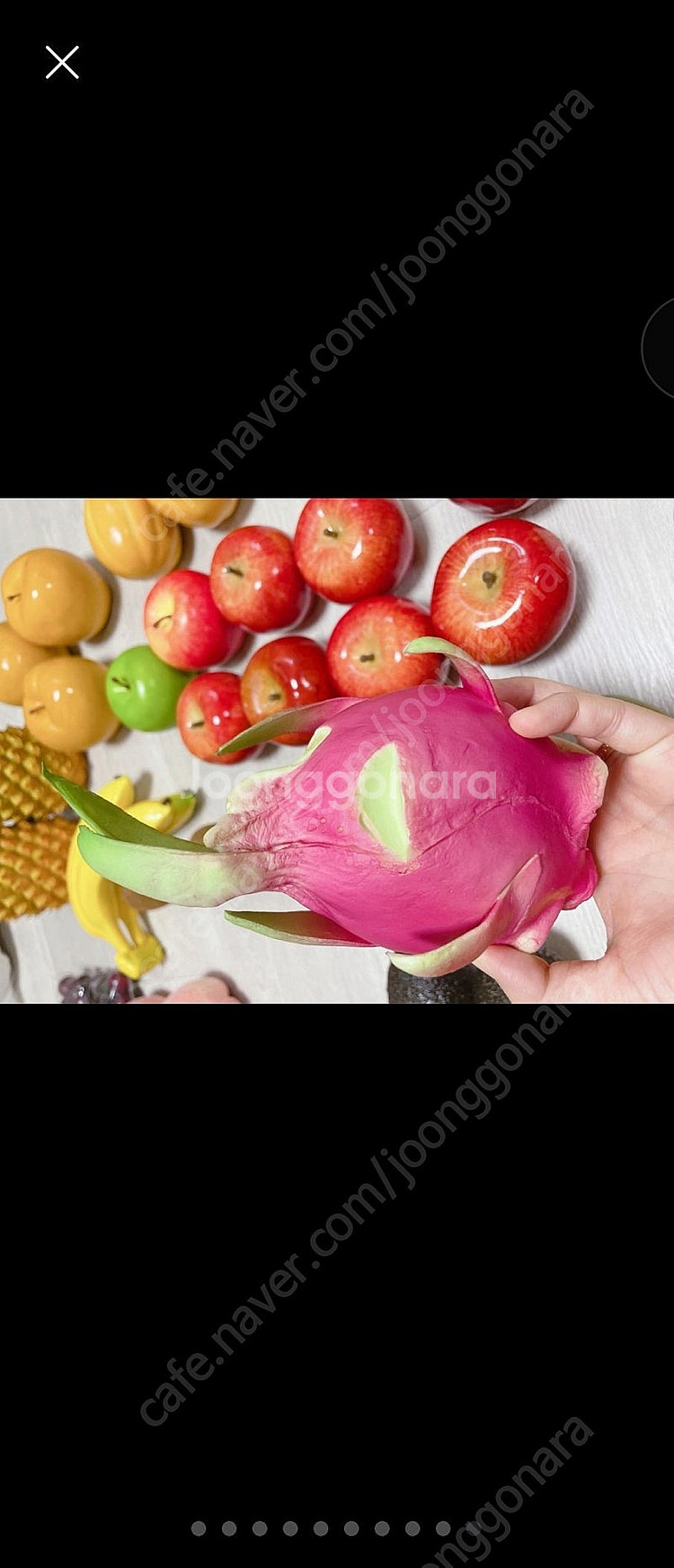 여러가지 모양의 과일 모형--9