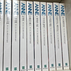 빨강머리 앤 시리즈 10권