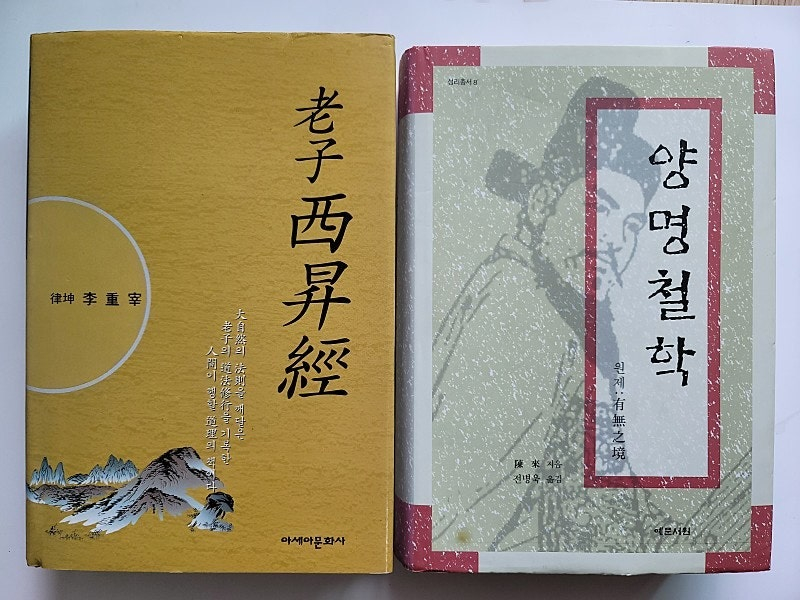 양명철학 왕필의 철학 백서 노자. 노장철학으로 동아시아문화를 읽는다 도문공과경 세계문양대전. 미술해부도 달마보전 몰... 이미지