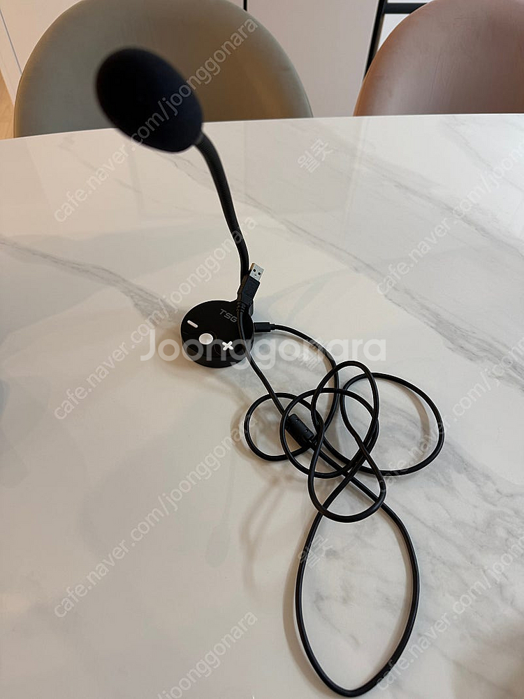 브리츠 스피커, TSG 마이크--4