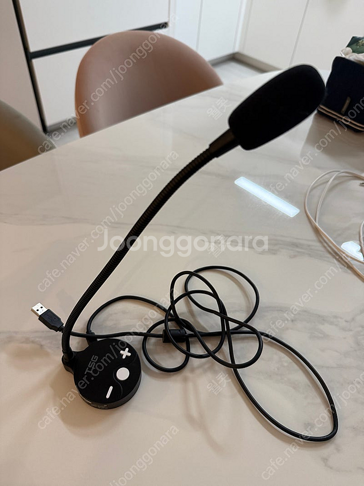 브리츠 스피커, TSG 마이크--5