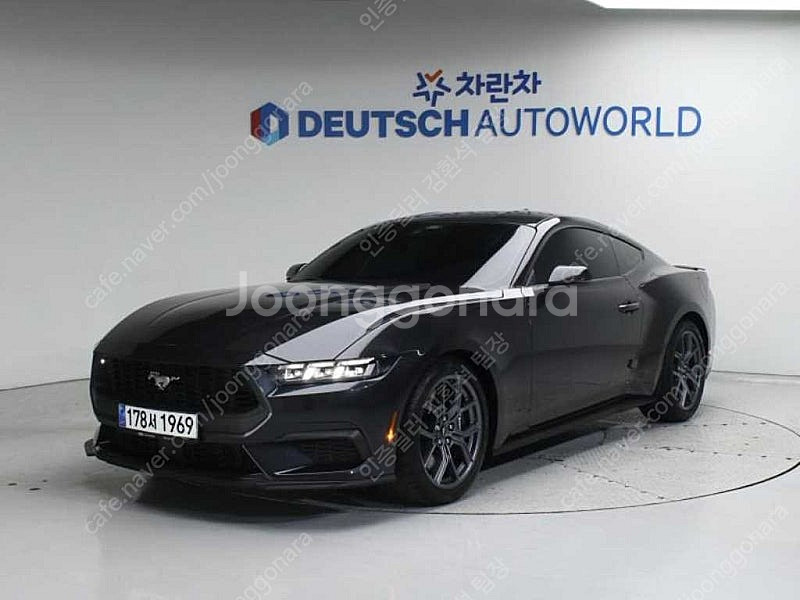 포드 머스탱 중고 머스탱 중고차 2024년식 10,60...--0