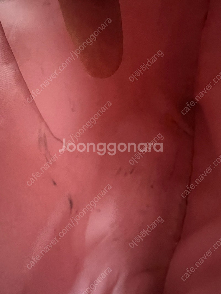 택포)디스커버리 백팩 책가방 핑크 고학년--4