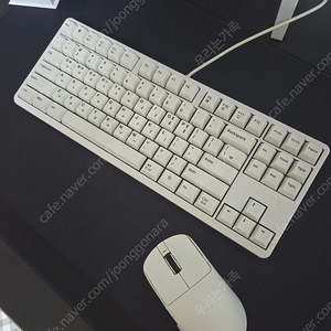 체리 키보드 g80-3000