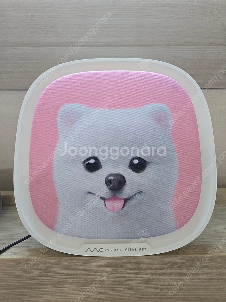 바이탈펫 강아지 고양이 분리불안 안정 케어 기기--0