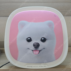 바이탈펫 강아지 고양이 분리불안 안정 케어 기기