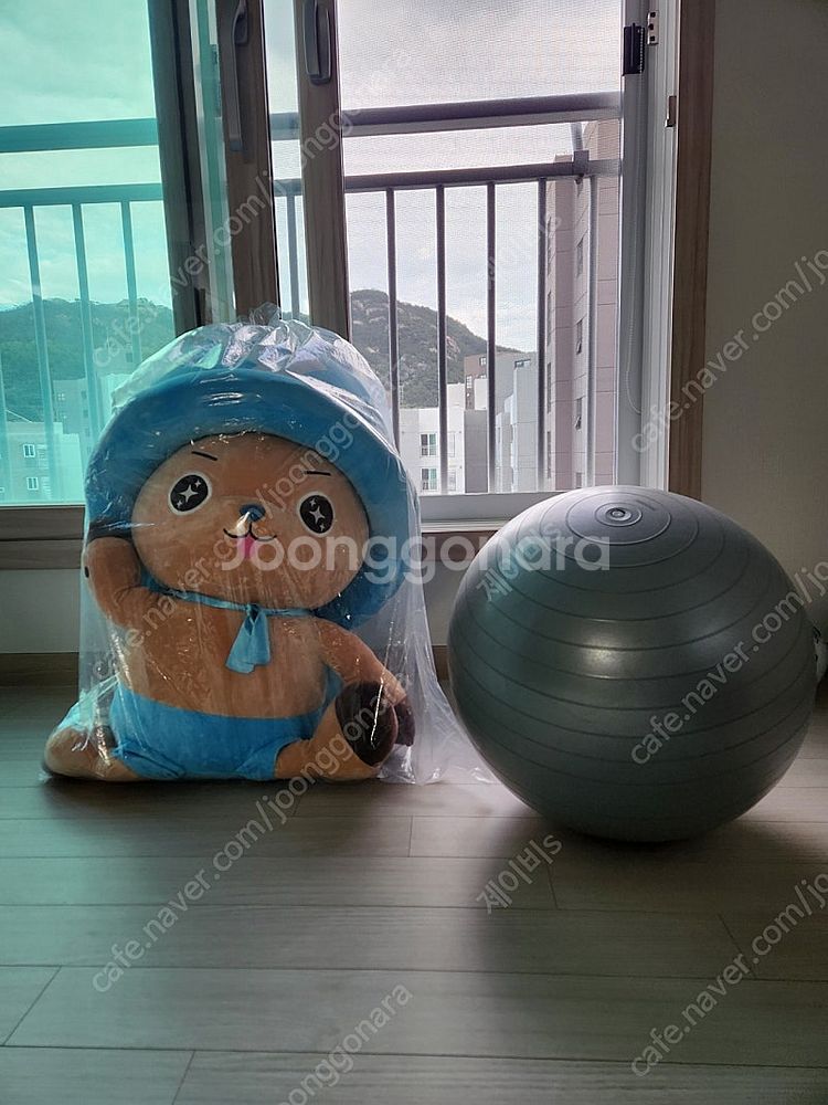 원피스 쵸파 대형인형(85cm) 판매합니다.--4