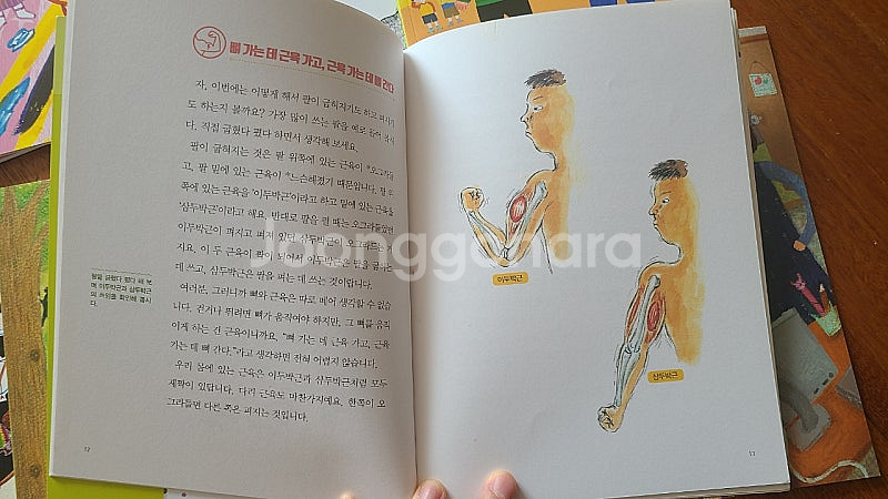 한우리 생각하는나무 독서리더 어휘리더 교재 초2~3 택...--2