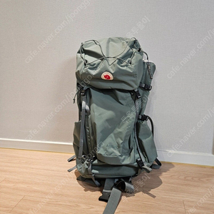 피엘라벤 아비스코 프리프루트 민트 35l M/L