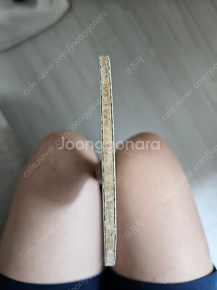 탁구라켓 구형비스카리아 2자루 팜.--5
