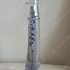 겐조 플라워 이케바나 오드 퍼퓸 인디고 75ml (거의새것)